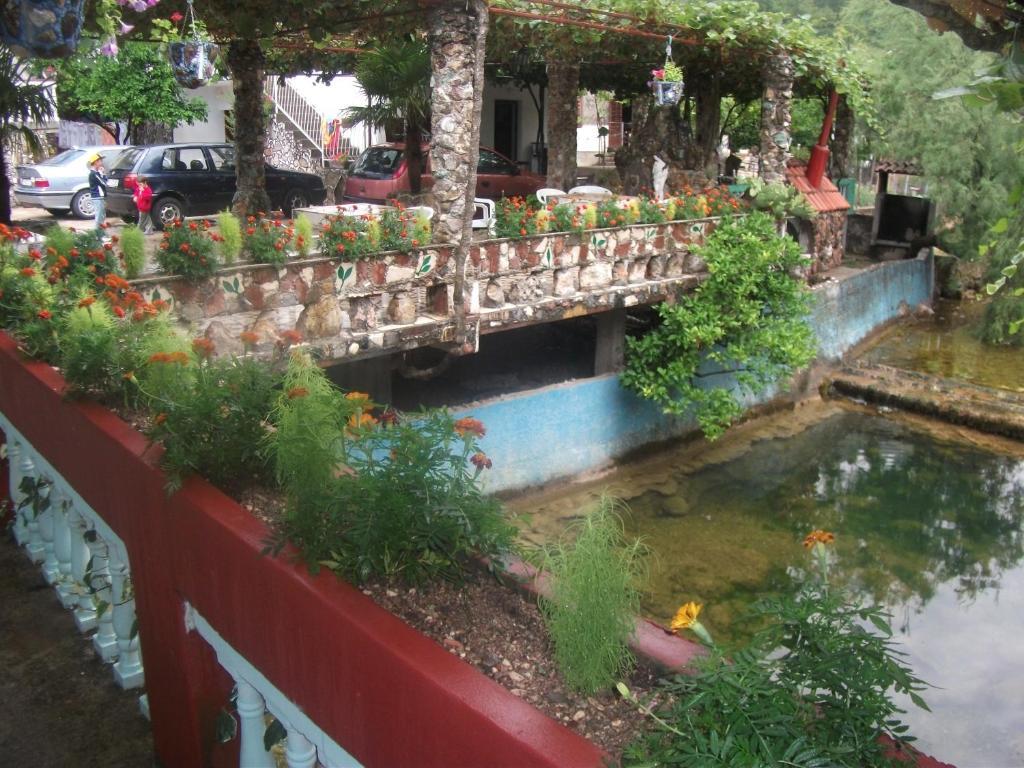 Radonjic Apartments Budva Zimmer foto